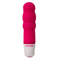 CONTROL - MINI STIMOLATORE VELVET SECRET – Per il clitoride