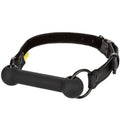 CALEXOTICS - BOUNDLESS BAR GAG – Mascelle