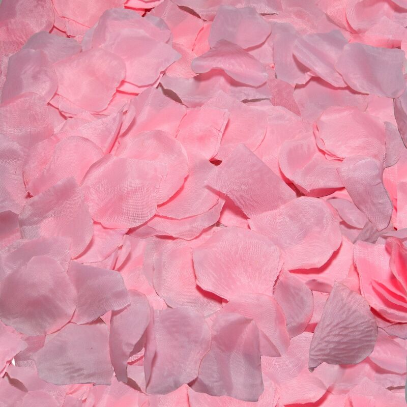 DIABLO PICANTE - 100 PETALI ROSA – kit Sex Toys – foto 2