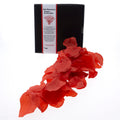TALOKA - PETALI ROSSI PROFUMATI CON FRAGRANZA AFRODISIACA – kit Sex Toys