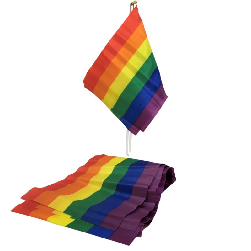 PRIDE - BANDIERA PICCOLA BANDIERA LGBT – Articoli divertenti