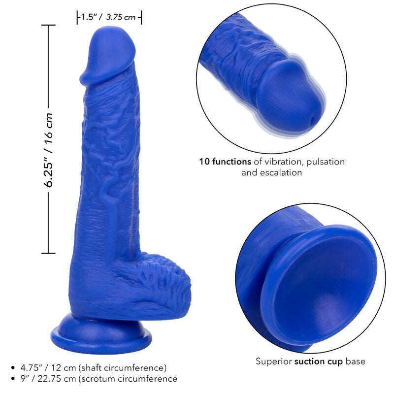 CALEXOTICS - ADMIRAL VIBRATORE DILDO REALISTICO SAILOR BLU – Vibratori realistici – foto 4