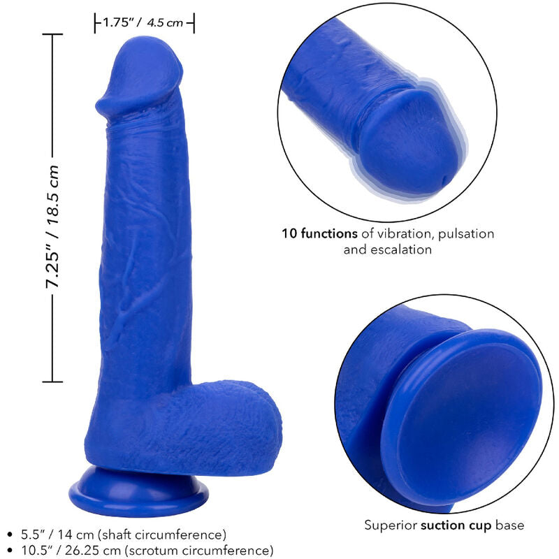 CALEXOTICS - ADMIRAL VIBRATORE DILDO REALISTICO DEL CAPITANO BLU – Vibratori realistici – foto 4