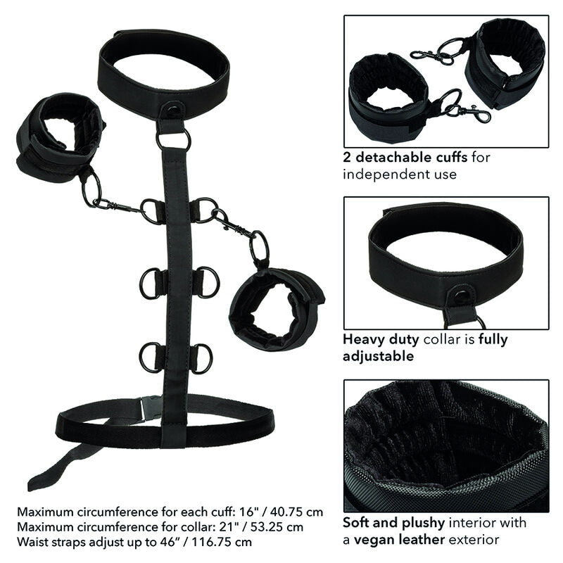 CALEXOTICS - BOUNDLESS COLLARE DI CONTENIMENTO DEL CORPO – Schiavitù – foto 6