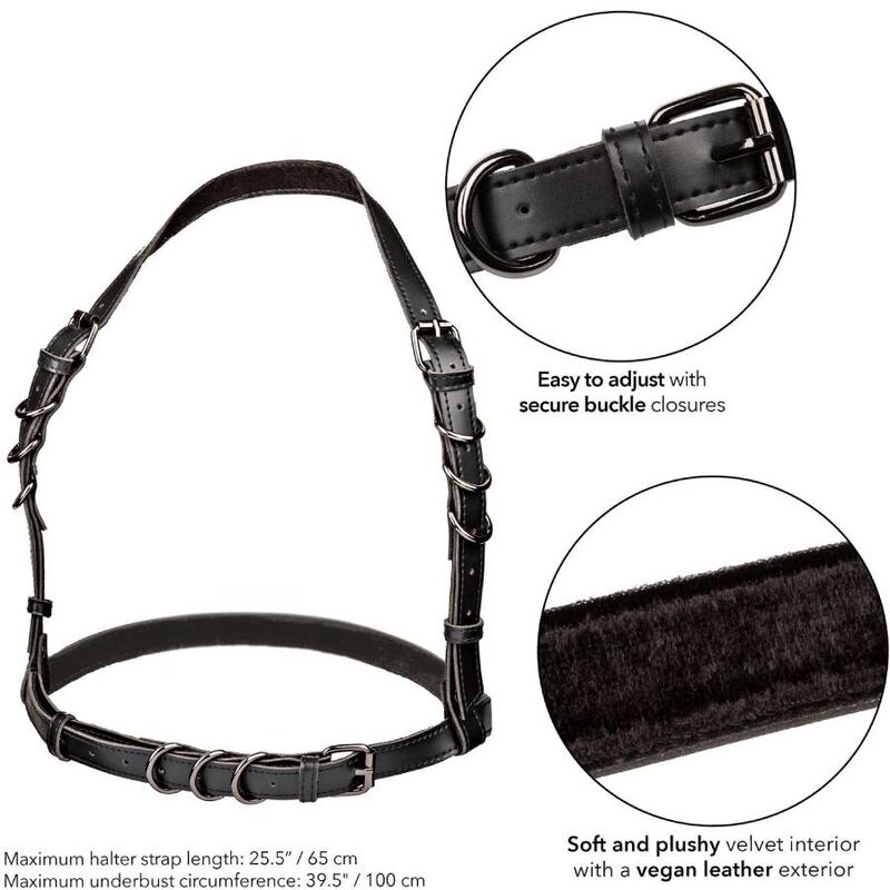 CALEXOTICS - EUPHORIA IMBRACATURA CON FIBBIA HALTER NERA – Moda BDSM – foto 5