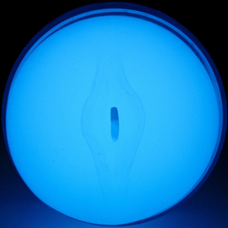 KIIROO - SENTIRE IL BAGLIORE NEL BUIO STROKER – Vagine senza vibrazioni – foto 5