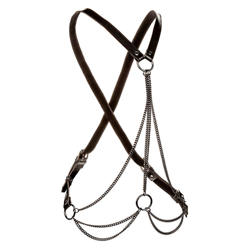 CALEXOTICS - EUPHORIA MULTICHAIN HARNESS PREMIUM – Cablaggi di fissaggio