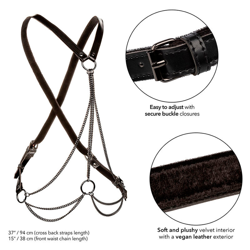 CALEXOTICS - EUPHORIA MULTICHAIN HARNESS PREMIUM – Cablaggi di fissaggio – foto 3