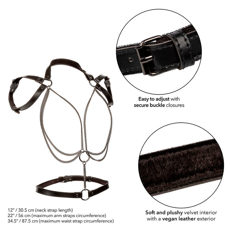 CALEXOTICS - EUPHORIA MULTICHAIN HALTER HARNESS PREMIUM – Cablaggi di fissaggio – foto 3