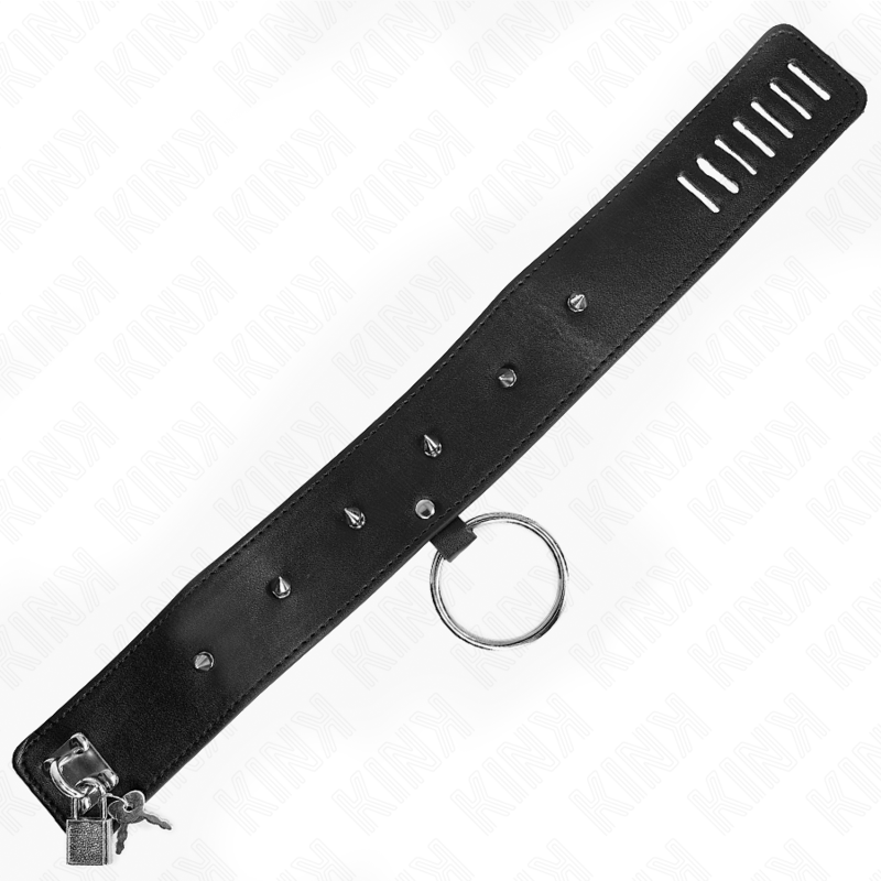 KINK - COLLANA 65 CM CON GUINZAGLIO CON BORCHIE ARGENTO MODELLO 2 REGOLABILE 36-43 CM X 5 CM – Collane – foto 7