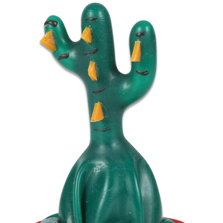 CONDOMERIE - PRESERVATIVI NOVITÀ DIPINTI A MANO CACTUS INCOLLATI – Preservativi Divertenti