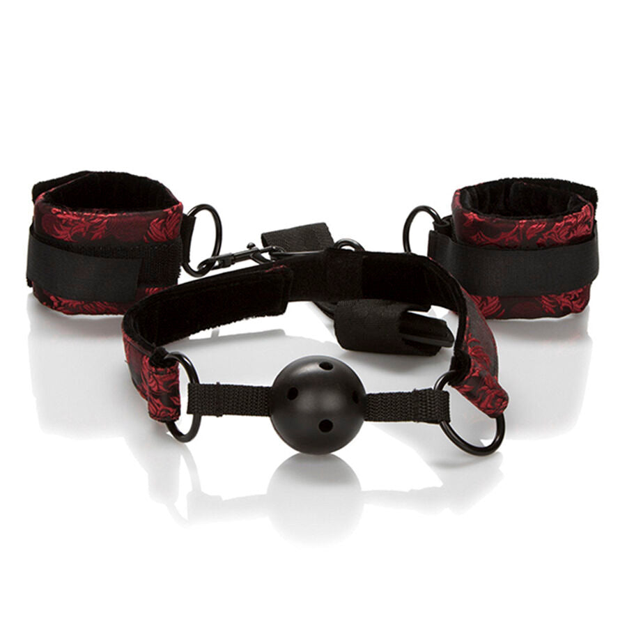 CALEXOTICS - SCANDAL BALL GAG TRASPIRANTE CON MANETTE – Mogli