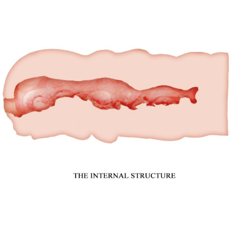 CRAZY BULL - MASTURBATORE ISABEL VAGINA 13.5 CM – Vagine con vibrazione – foto 4