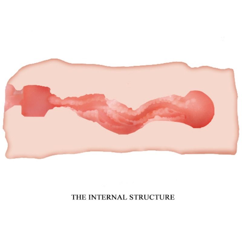 CRAZY BULL - MASTURBATORE VAGINA JANE 13.5 CM – Vagine con vibrazione – foto 5