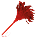 DARKNESS - PENNA STIMOLANTE ROSSA 24CM – Boa e piume