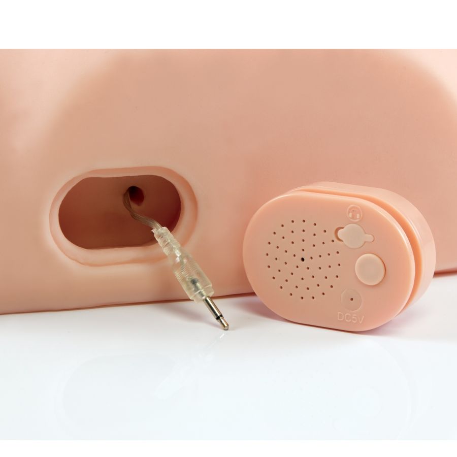 PDX MALE - MASCHIO INTERATTIVO SCOPALO SCIOCTO – Telecomando – foto 6