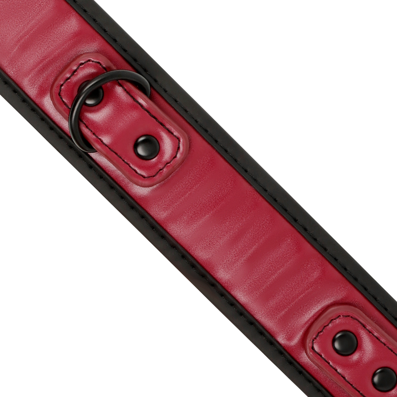 FETISH SUBMISSIVE DARK ROOM - COLLANA A CATENA CON FODERA IN NEOPRENE – Collane – foto 4
